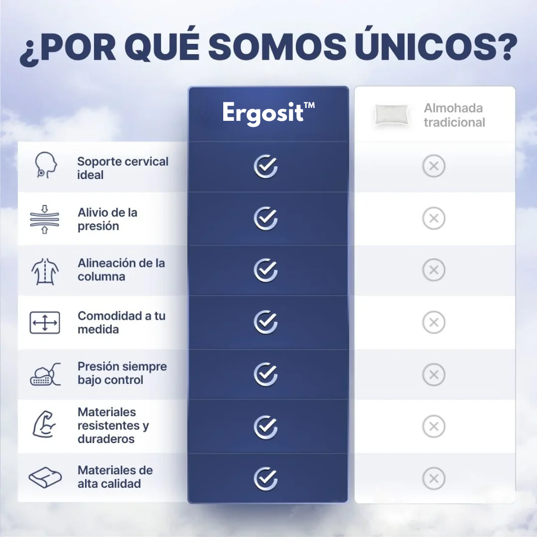 Ergosit™ - Cojin Asiento Ortopedico